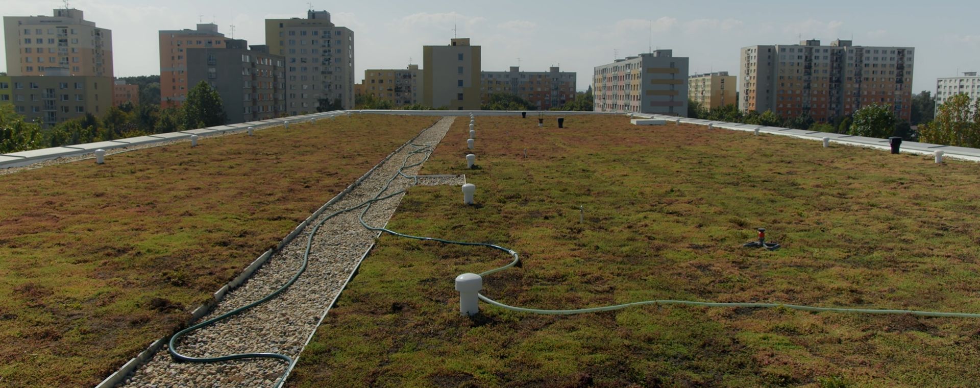 Reference: ZŠ Erno Košťála v Pardubicích: první škola ve městě se zelenou střechou