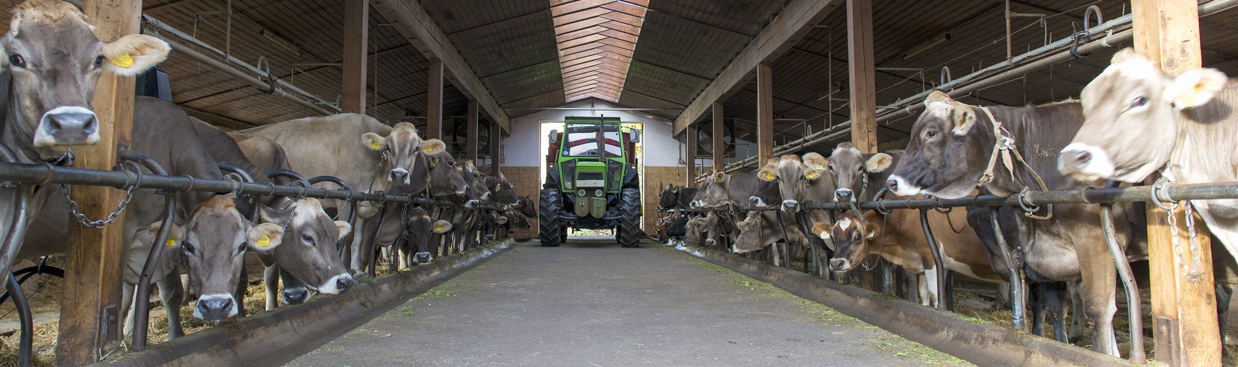 Zemědělci, využijte dotace! Právě teď je nejvyšší čas stavět