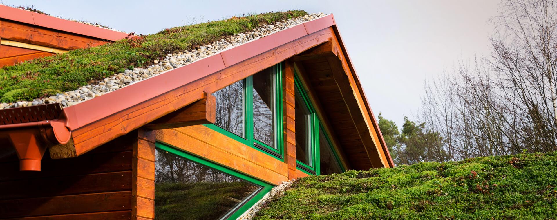 Zelená střecha: Co může nabídnout a jaká je její skladba?